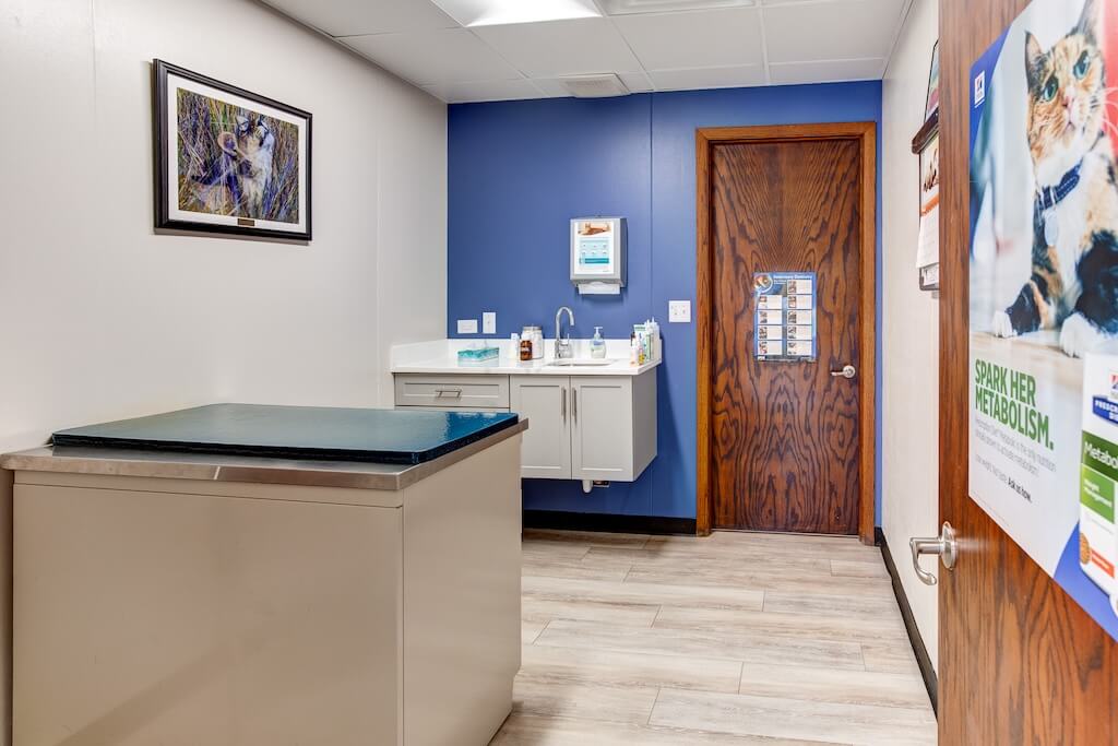20240531_web_godch_glen_oak_dog_cat_hospital_img_1723