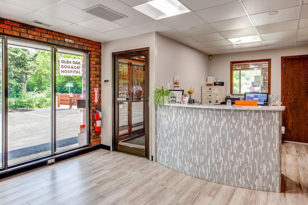 20240531_web_godch_glen_oak_dog_cat_hospital_img_1762