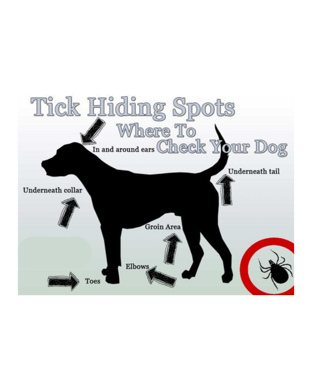 tickhidingspots