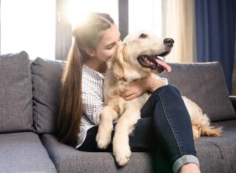 What should you ask when adopting a dog?