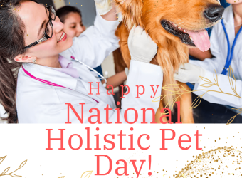 Happy National Holistic Pet Day!