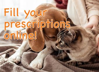 We are now offering online pharmacy services