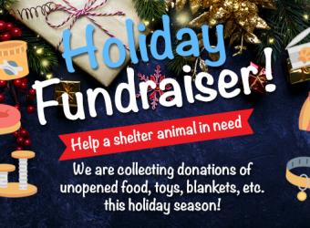 Holiday fundraiser to help shelter animals