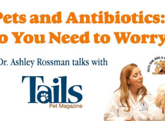 Pets and Antibiotics: Do You Need to Worry?